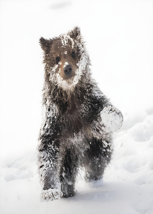 Bjørneunge gir pote