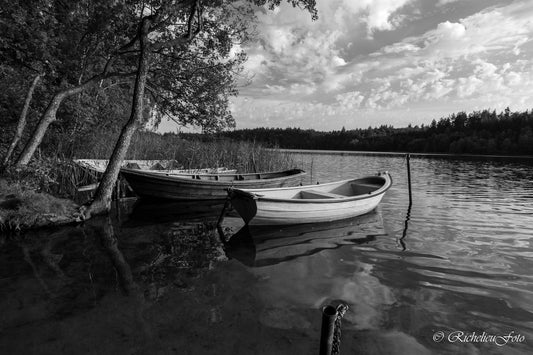 Samlingspladsen sort/hvid