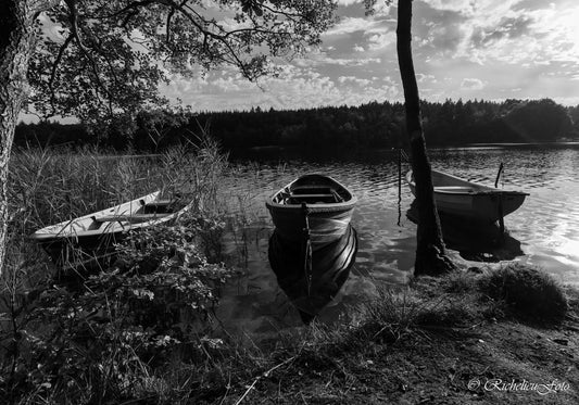 Tre joller sort/hvid