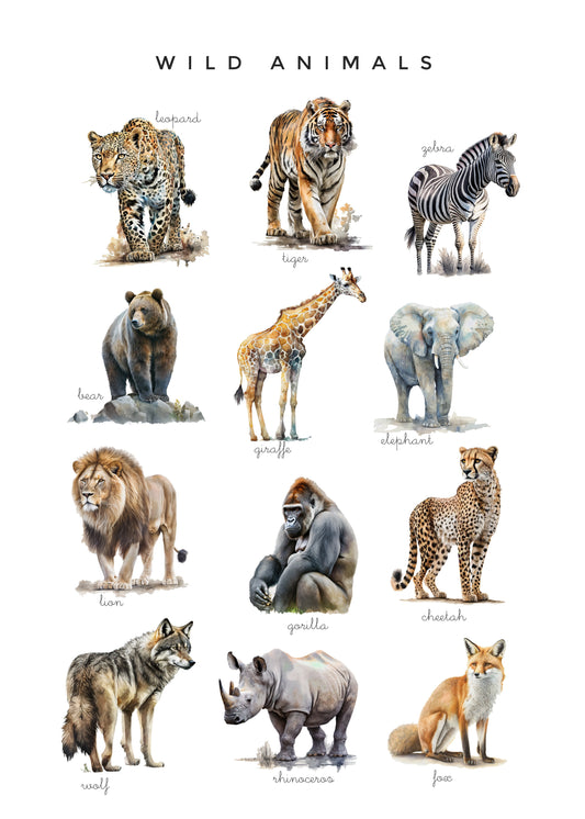 Wild animals