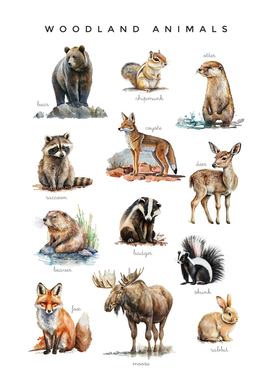 Woodland animals